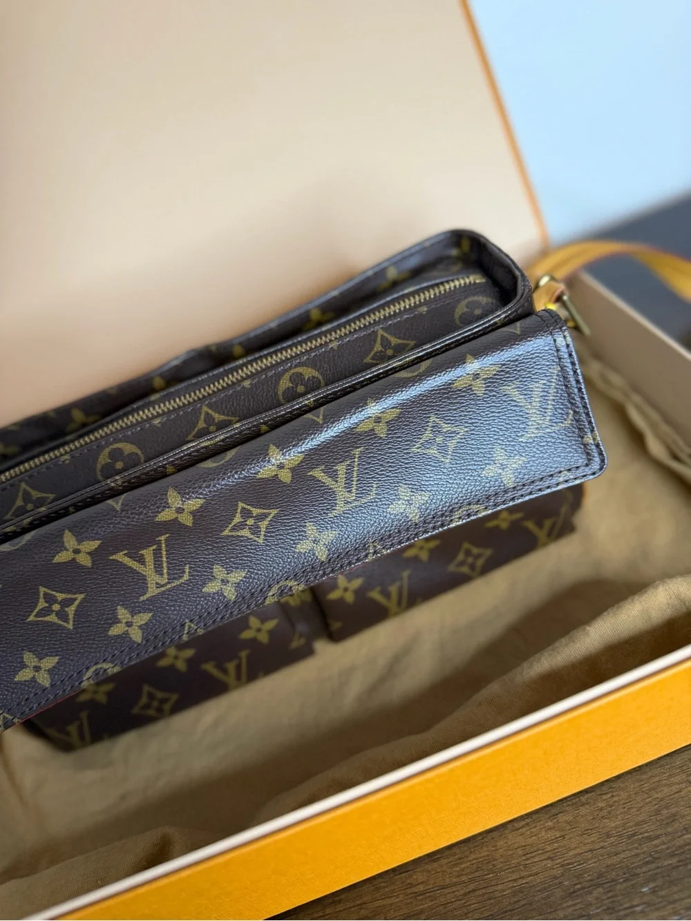 Louis Vuitton Viva Cité in monogram